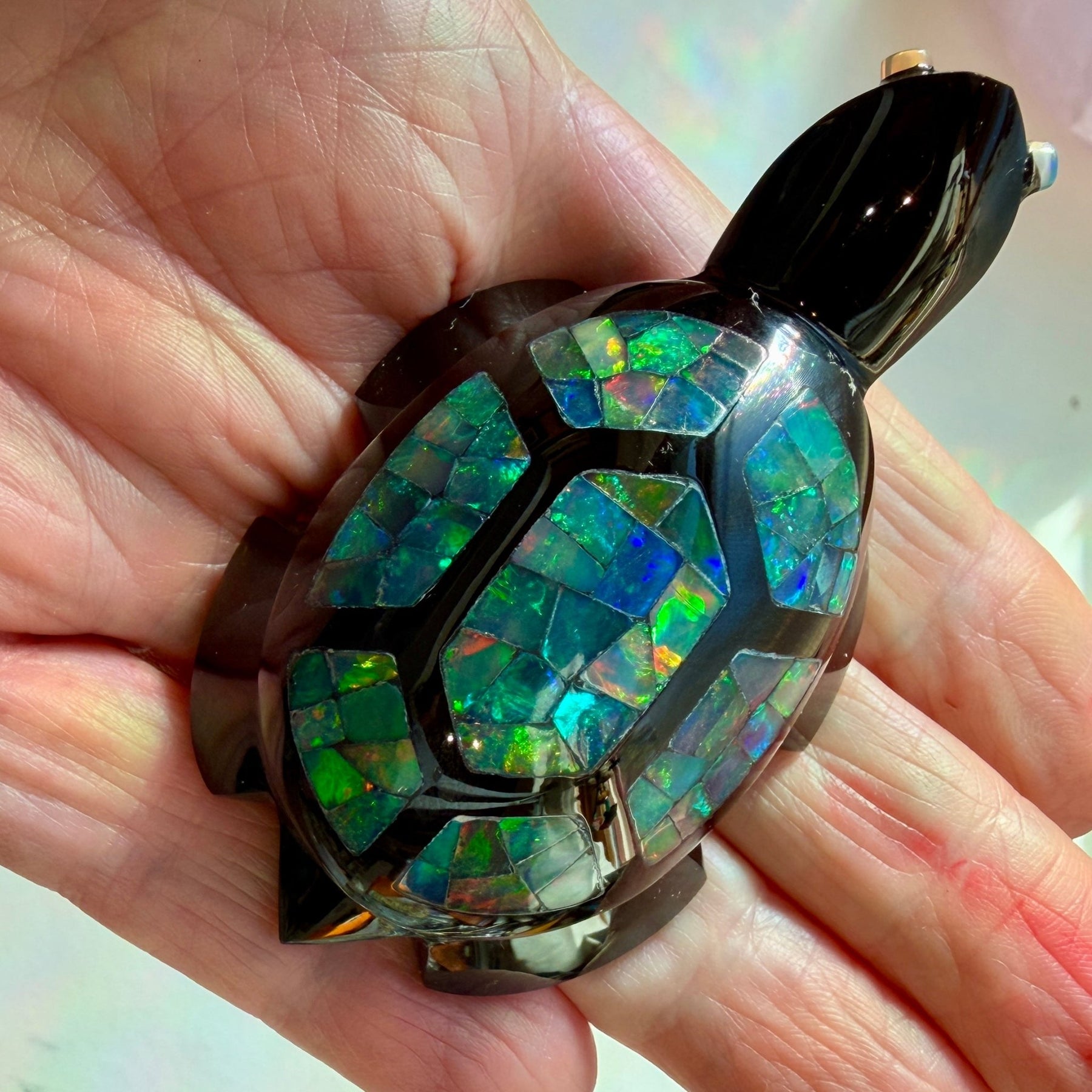 Turtle Shell Opal Ethiopian Opal Turtle | Black Onyx Carving | Dakota Nature