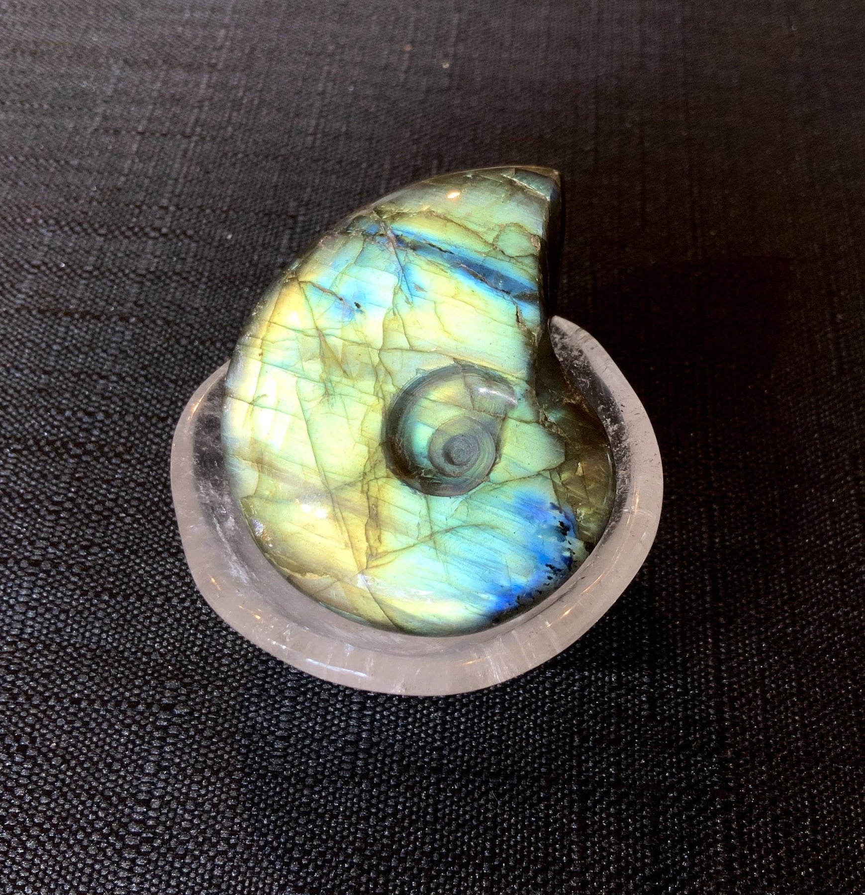Carved Golden Blue Labradorite Ammonite - Dakota Nature LLC