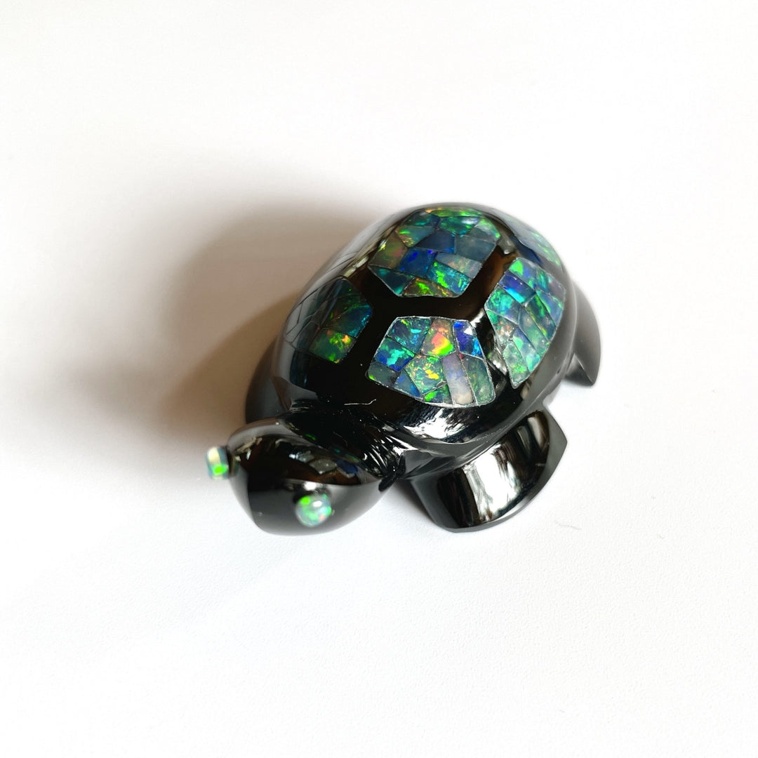opal-turtle-356782_1080x.jpg?v