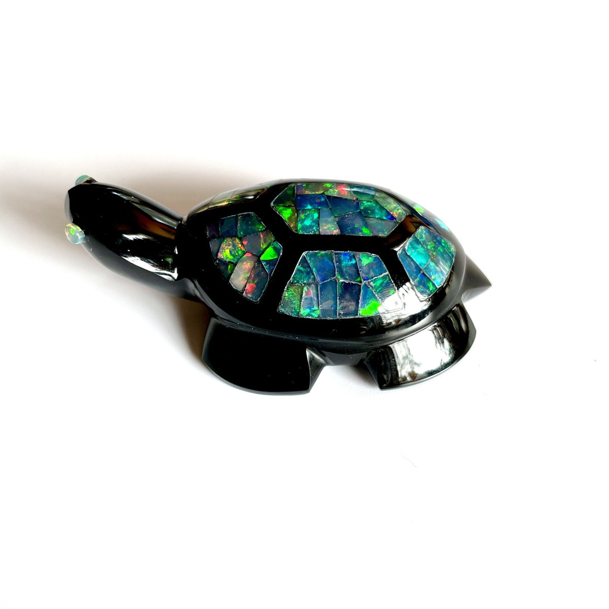 Turtle Shell Opal Ethiopian Opal Turtle | Black Onyx Carving | Dakota Nature