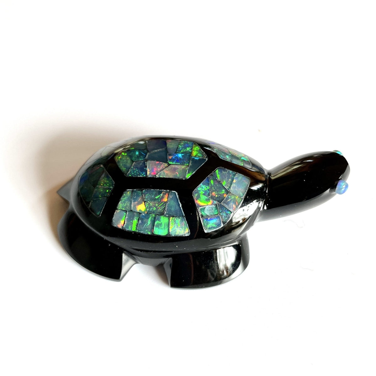 Turtle Shell Opal Opal Turtle - Dakota Nature LLC